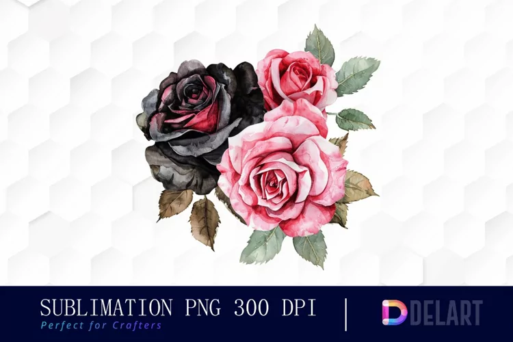 Black and Pink Roses Watercolor Clipart