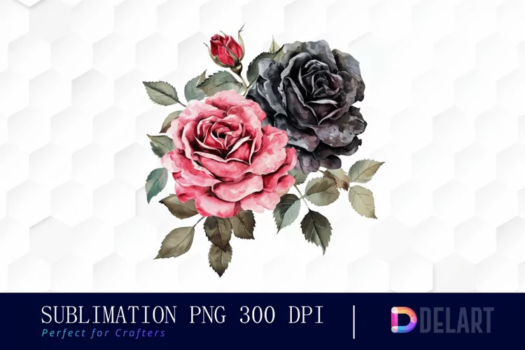 Black and Pink Roses Watercolor Clipart