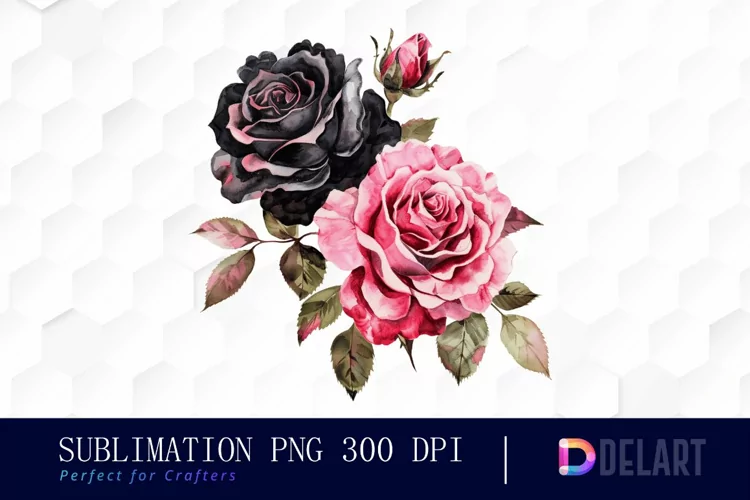 Black and Pink Roses Watercolor Clipart