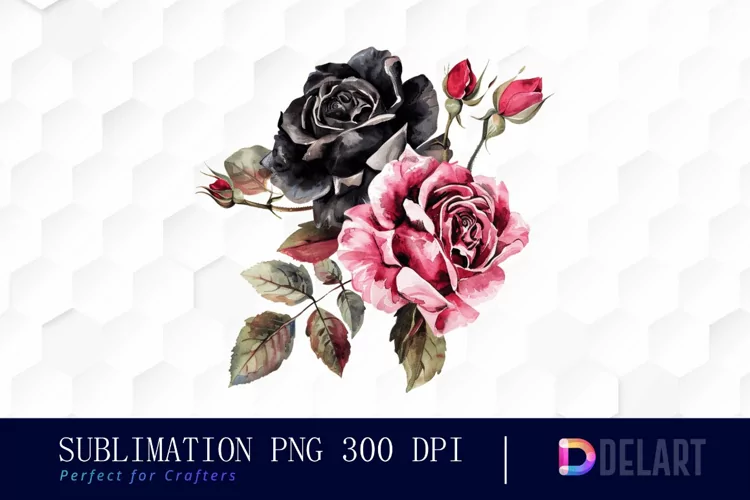 Black and Pink Roses Watercolor Clipart