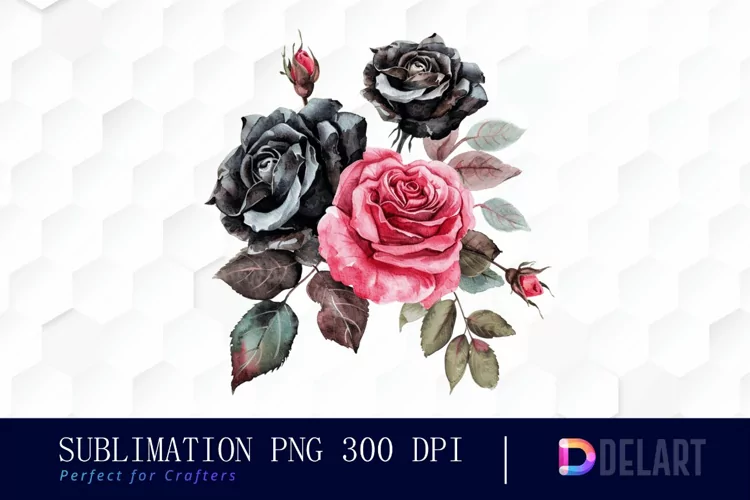 Black and Pink Roses Watercolor Clipart