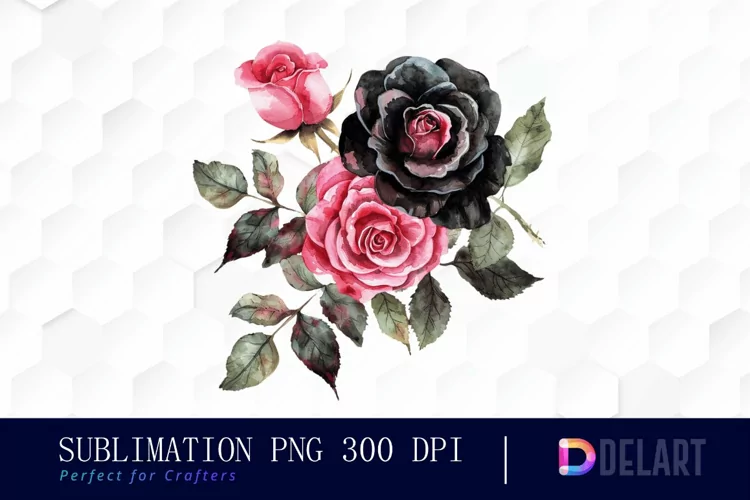 Black and Pink Roses Watercolor Clipart