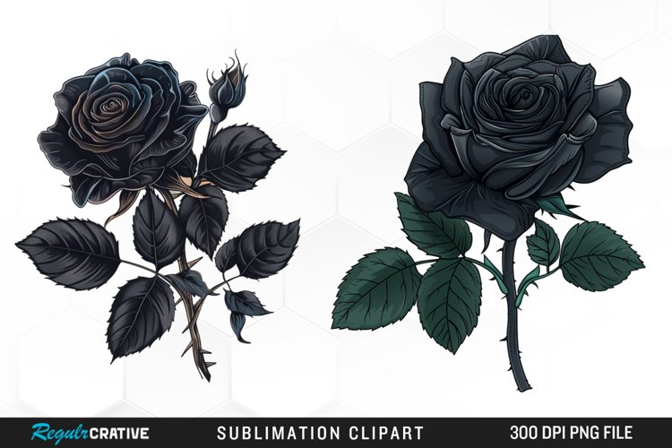 Rose PNG Image 23