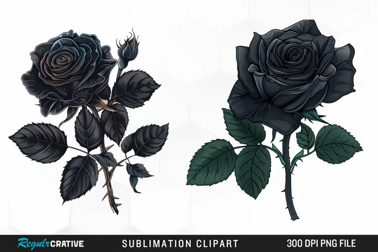 Watercolor Black Rose PNG Clipart
