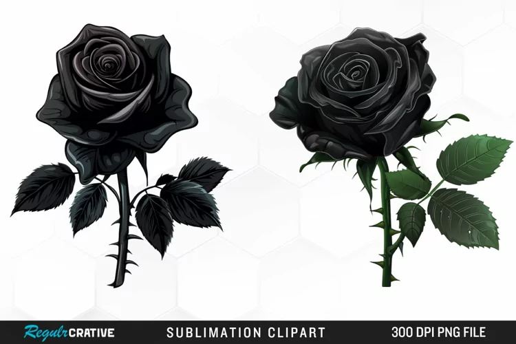 Watercolor Black Rose Artwork Clipart