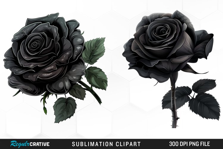 Rose PNG Image 20