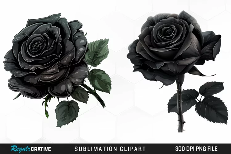 Watercolor Black Rose PNG Clipart