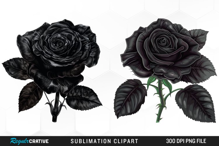 Rose PNG Image 19