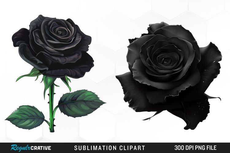Rose PNG Image 12
