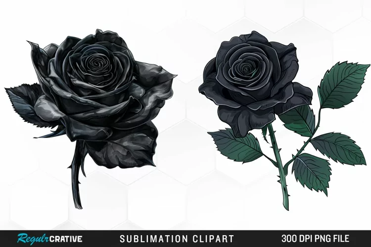 Watercolor Black Rose PNG Clipart