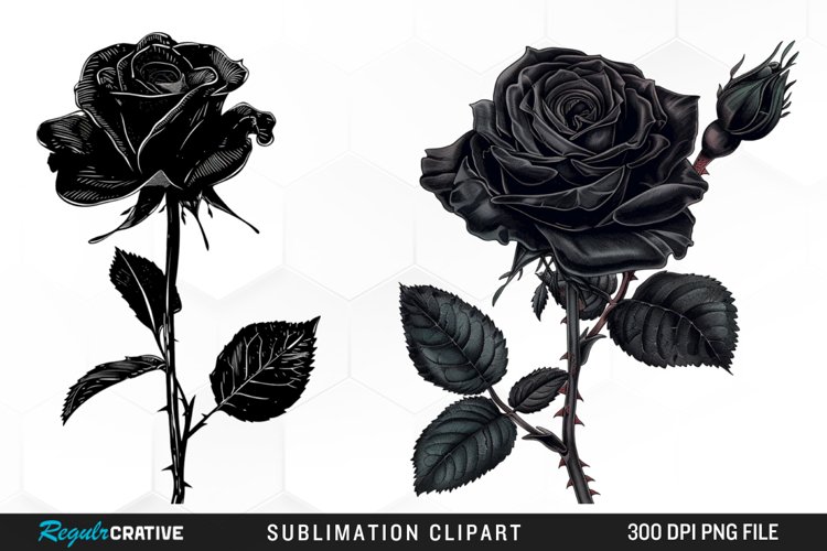 Rose PNG Image 9