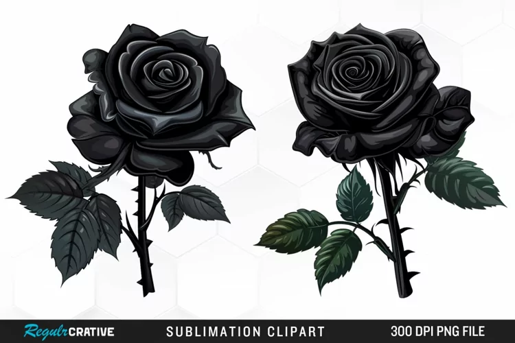 Watercolor Black Rose PNG Clipart