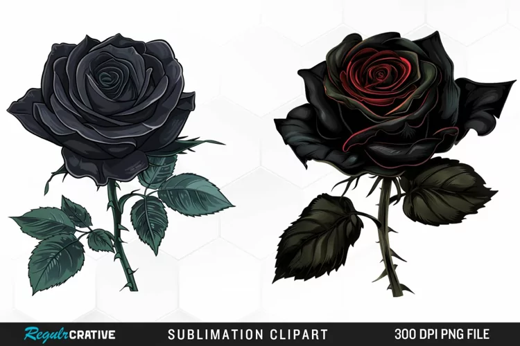 Watercolor Black Rose PNG Clipart
