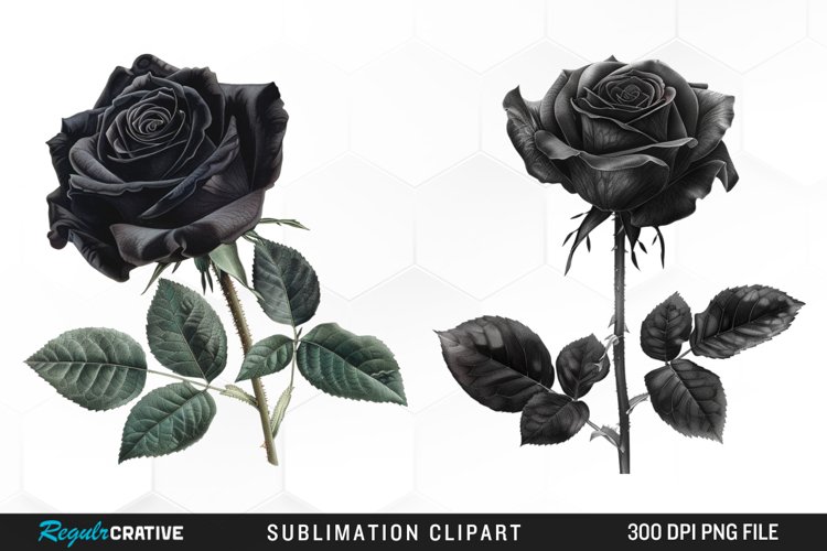 Rose PNG