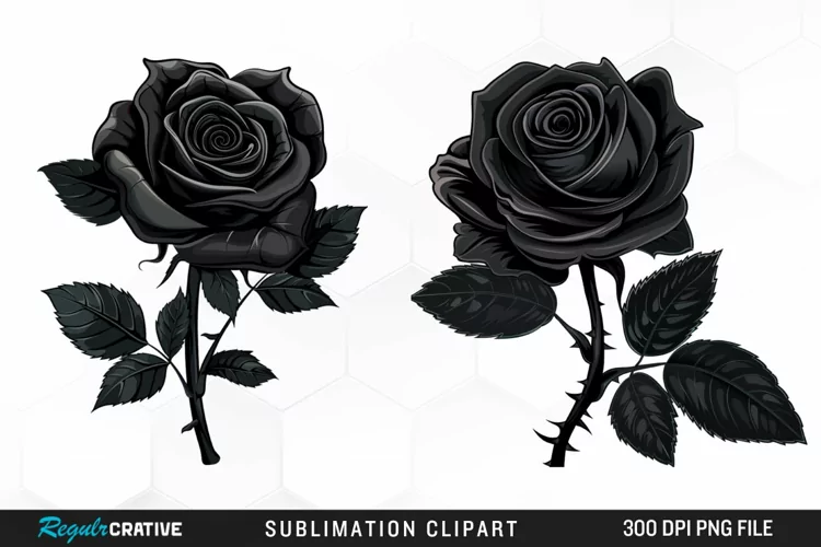 Watercolor Black Rose PNG Clipart