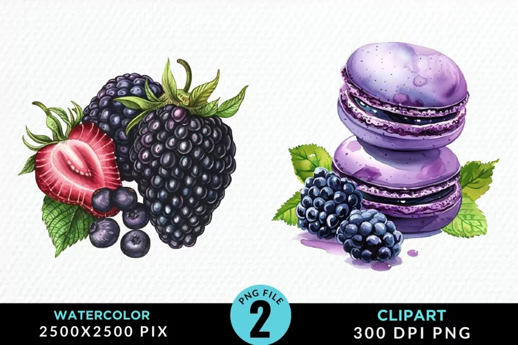 Watercolor Blackberries Exquisite Clipart