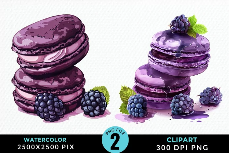 Watercolor Blackberries Graphics Clipart