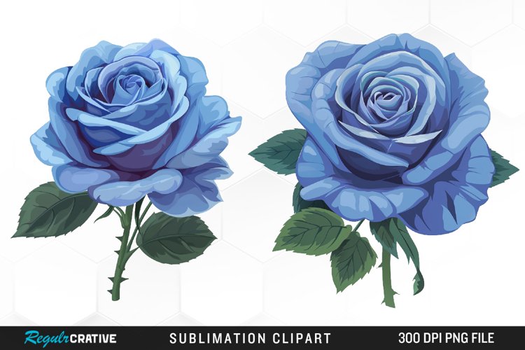 Roses Clipart Image 20