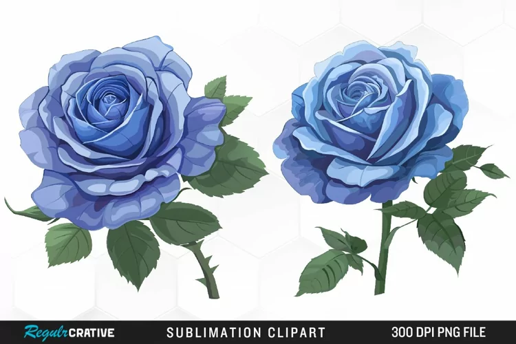 Watercolor Blue Roses Graphic Clipart
