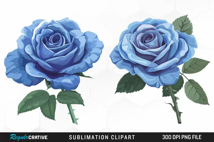 Watercolor Blue Roses Graphic Clipart