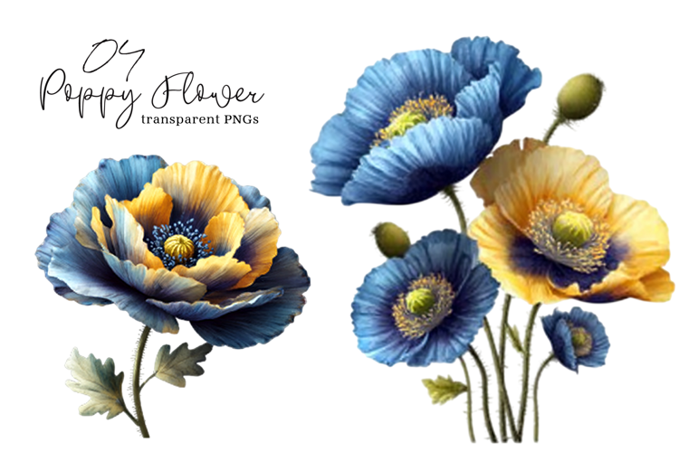 Watercolor Blue Yellow Poppy Flower Clipart