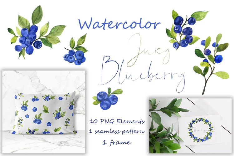 Blueberry Illustration Image 8