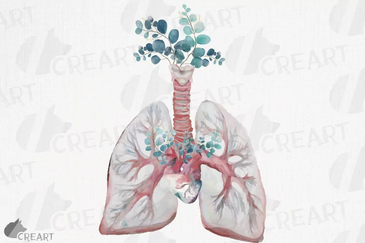 Eucalyptus and anatomical blush lungs with heart graphic