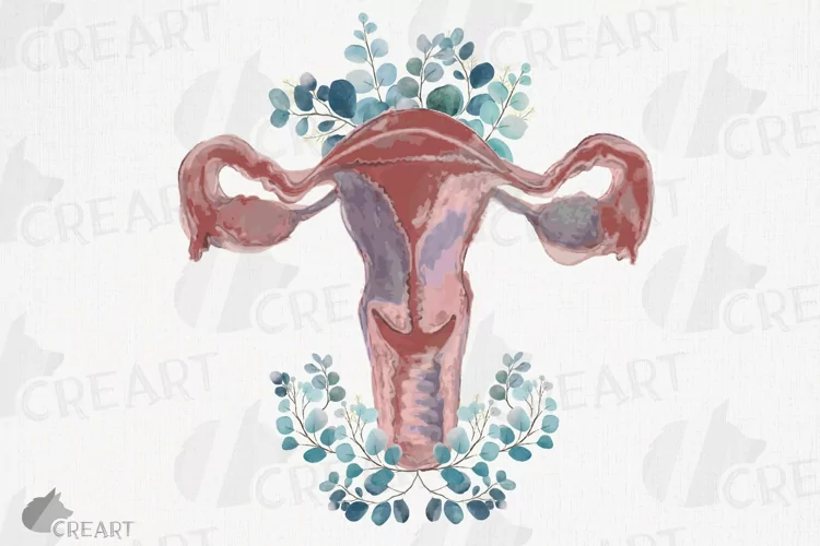 Watercolor eucalyptus blush pink Uterus health graphic decor