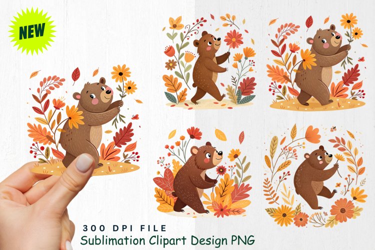 Baby Bear PNGs Image 16