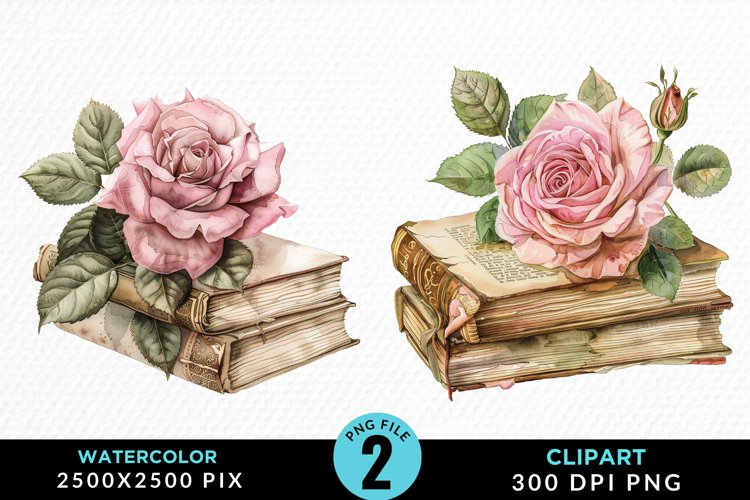 Watercolor Books Rose Illustration Clipart