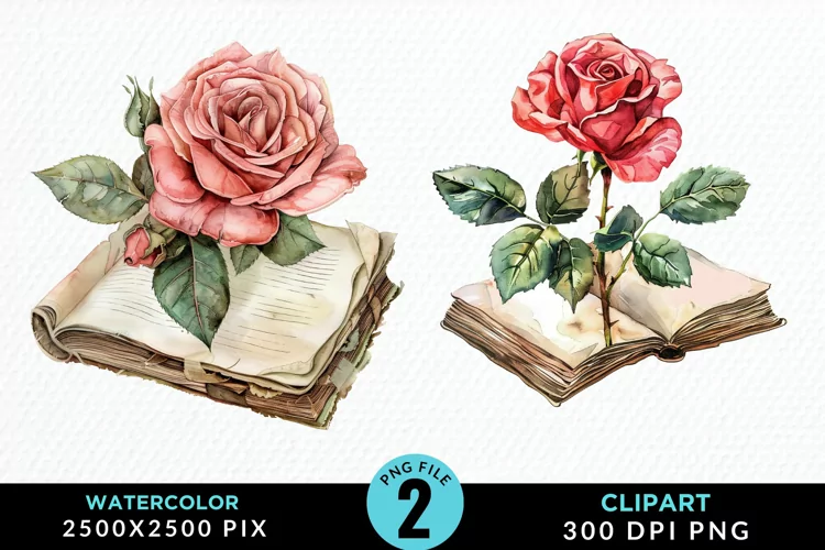 Watercolor Books Rose Illustration Clipart