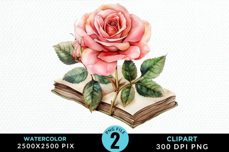 Watercolor Books Rose Illustration Clipart