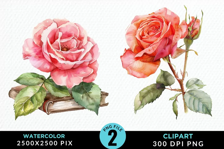 Watercolor Books Rose Illustration Clipart