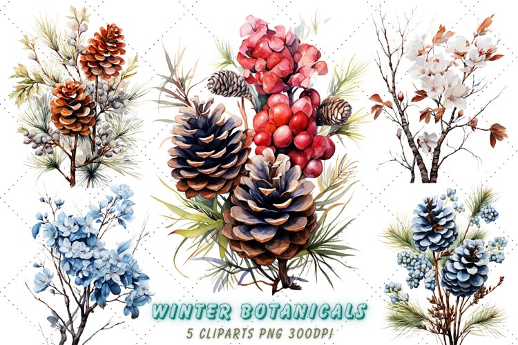 Watercolor Botanicals Clipart | Winter Sublimation Bundle