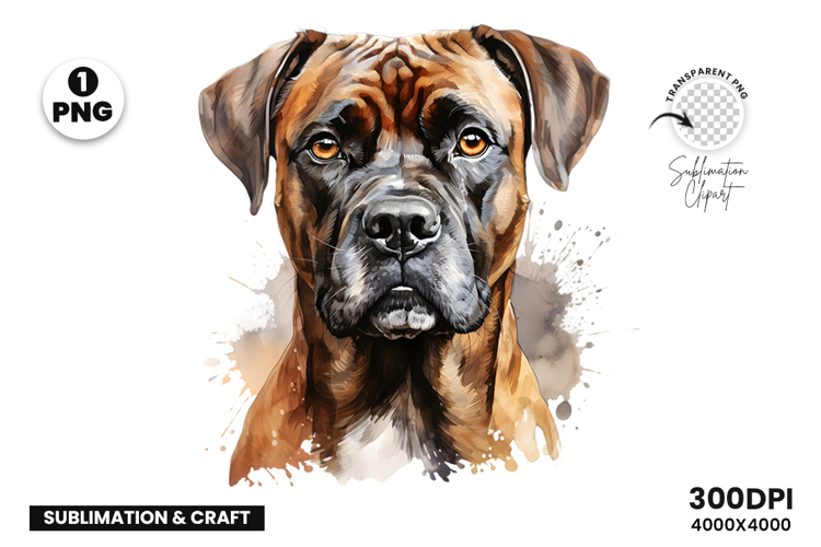 Watercolor Boxer Dog Clipart PNG Pet Portrait Sublimation