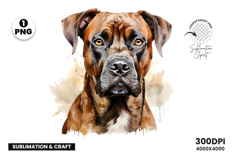 Watercolor Boxer Dog Clipart PNG Pet Portrait Sublimation
