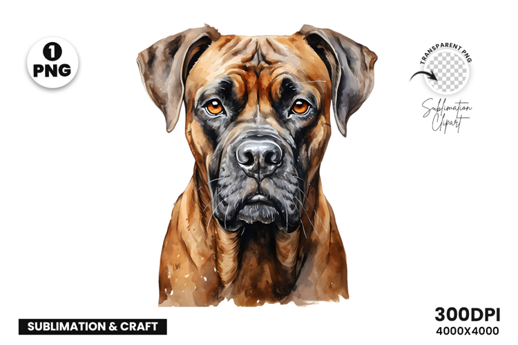 Watercolor Boxer Dog Clipart PNG Pet Portrait Sublimation