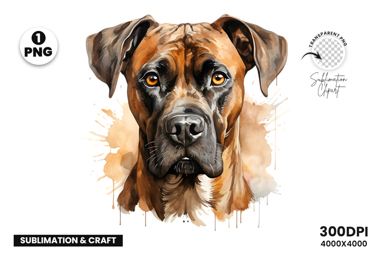 Watercolor Boxer Dog Clipart PNG Pet Portrait Sublimation