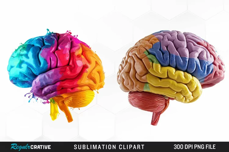 Watercolor Brain Exquisite Clipart