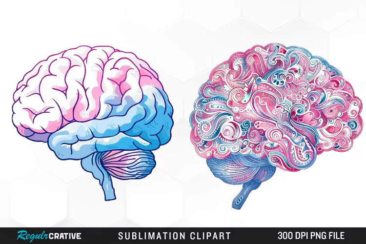 Watercolor Brain Exquisite Clipart