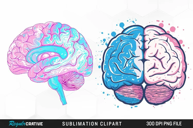 Watercolor Brain Exquisite Clipart