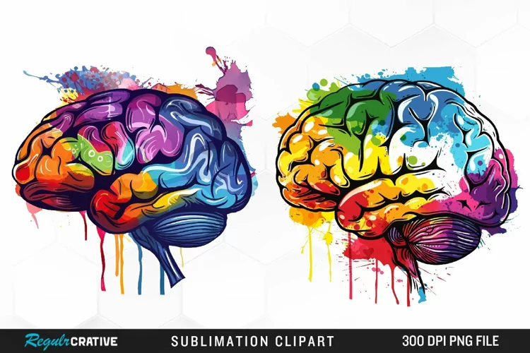 Watercolor Brain Exquisite Clipart