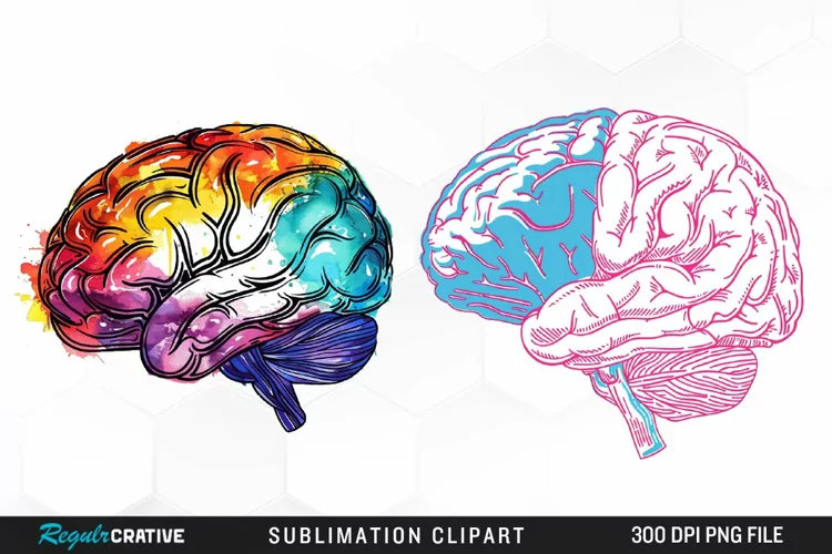 Watercolor Brain Graphic Clipart