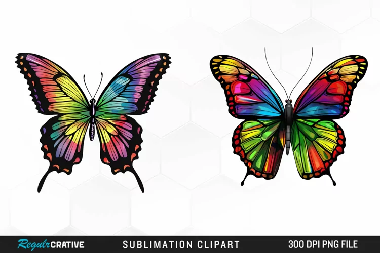 Rainbow Butterfly Artwork Clipart