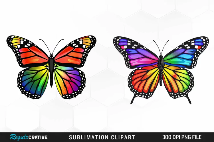 Rainbow Butterfly Artwork Clipart