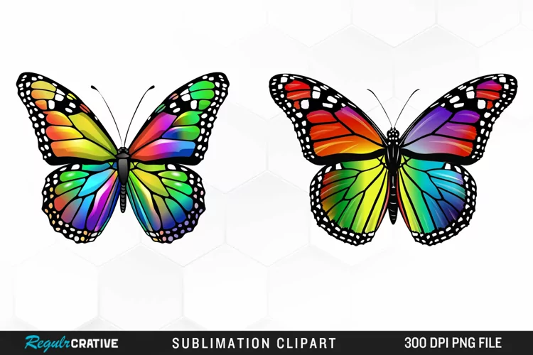 Rainbow Butterfly Artwork Clipart