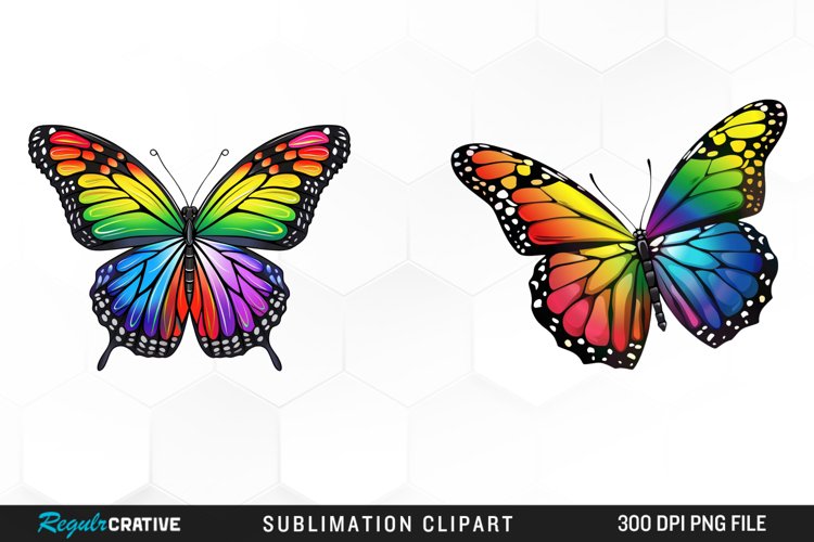 Rainbow Butterfly Artwork Clipart example image 1