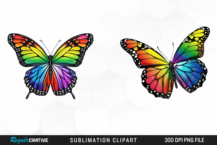 Rainbow Butterfly Artwork Clipart