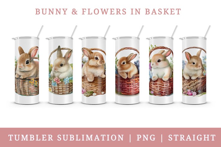 Bunny Clipart Image 16