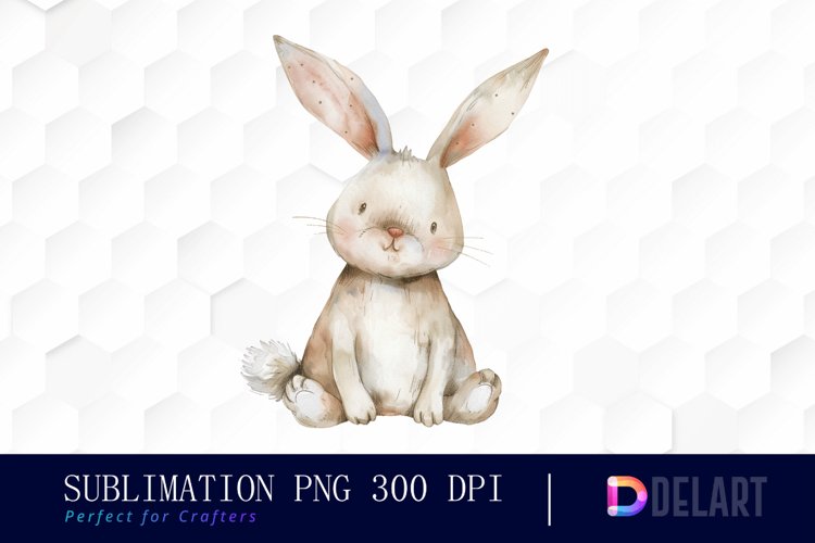 Easter Bunny Illustration Image 16